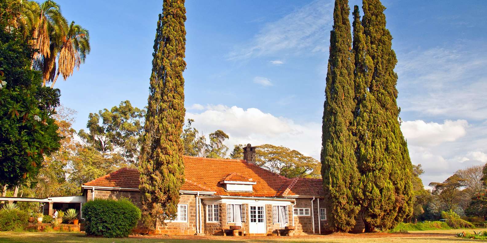 Flicks & Finds-The Kenyan Experience
