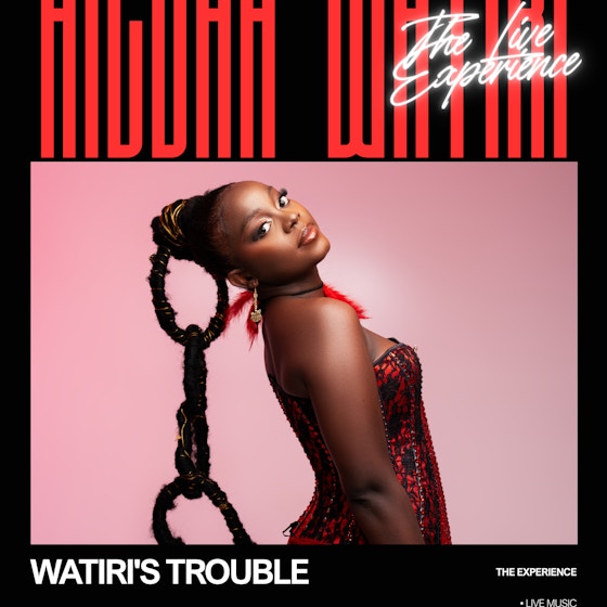 The Case of Hildah Watiri